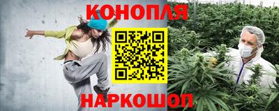 СК Балаково