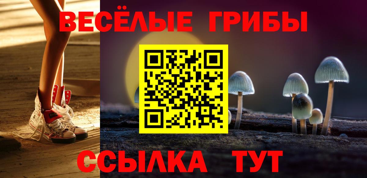 Великий Устюг  Галлюциногенные грибы MAGIC MUSHROOMS  Псилоцибиновые грибы Psilocybine cubensis  купить закладку  Вход с VPN 