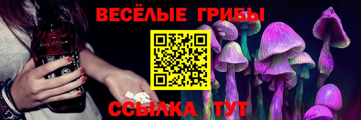 Псилоцибиновые грибы Magic Shrooms Великий Устюг